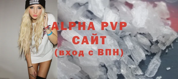 стаф Аркадак