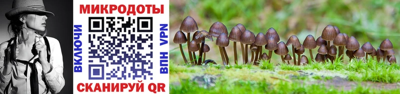 Псилоцибиновые грибы ЛСД  Купить  Малоярославец 